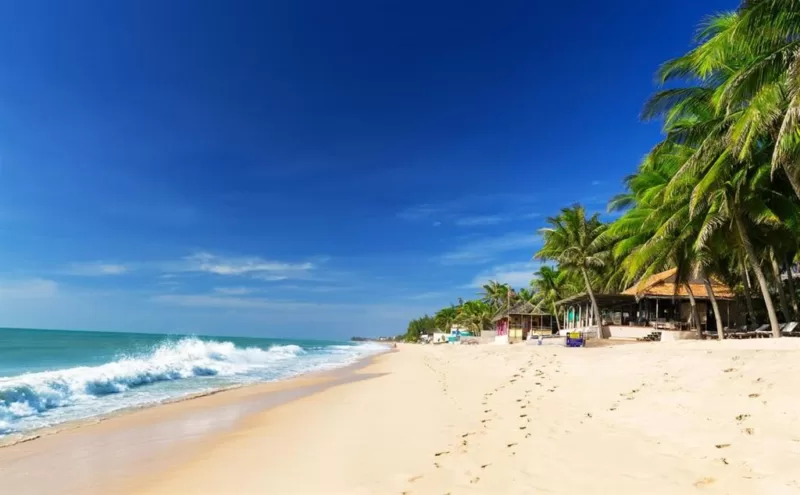 Với bãi cát trắng và nắng vàng, Mũi Né luôn là lựa chọn yêu thích cho người thích du lịch biển